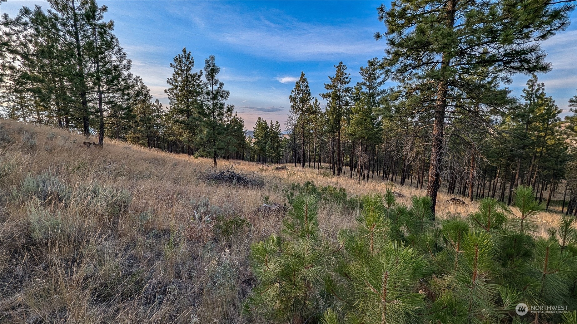 607 J H Green Road Riverside, WA 98849 - Photo 25 of 37 Gallery Image 25