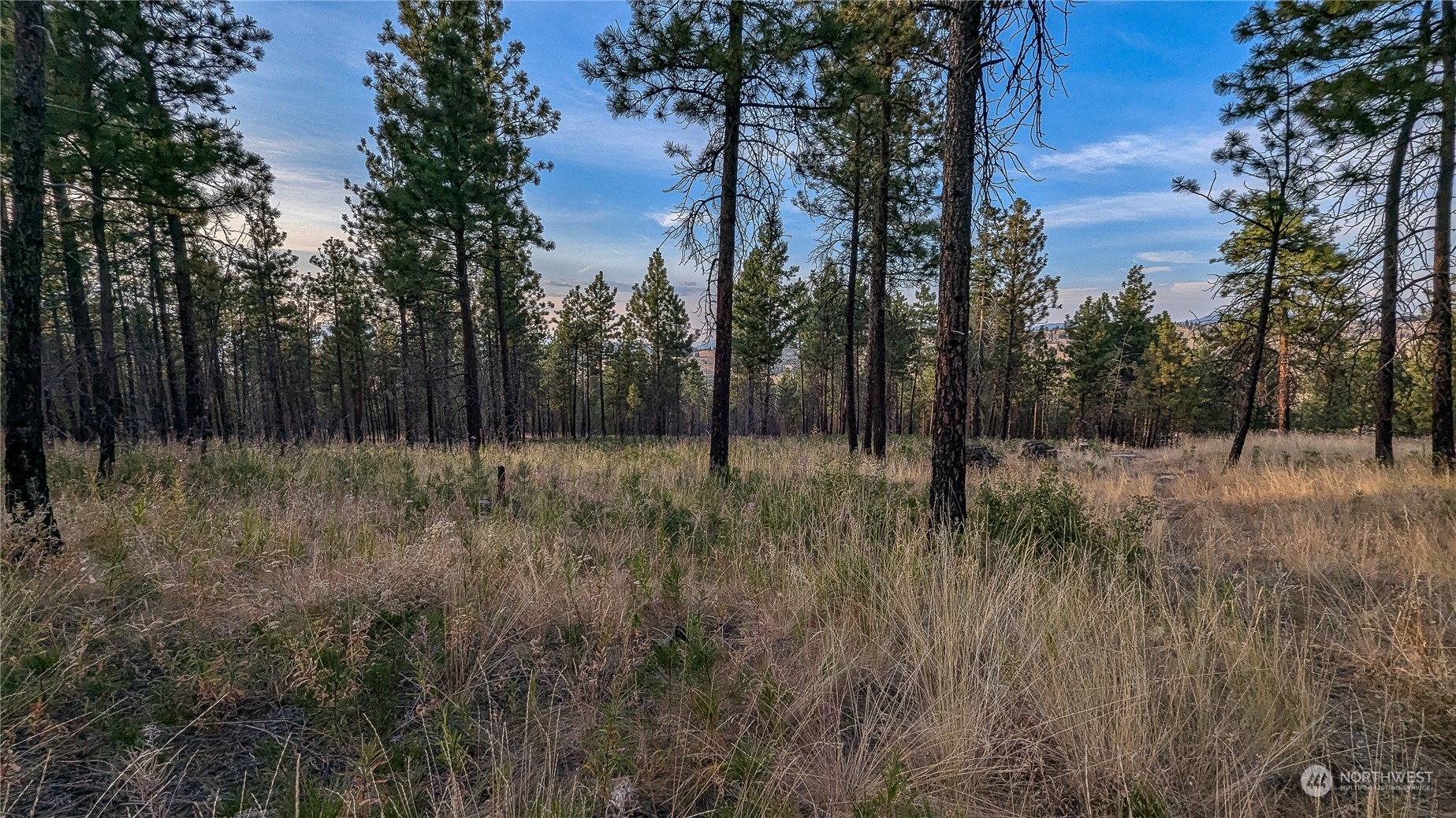607 J H Green Road Riverside, WA 98849 - Photo 26 of 37 Gallery Image 26