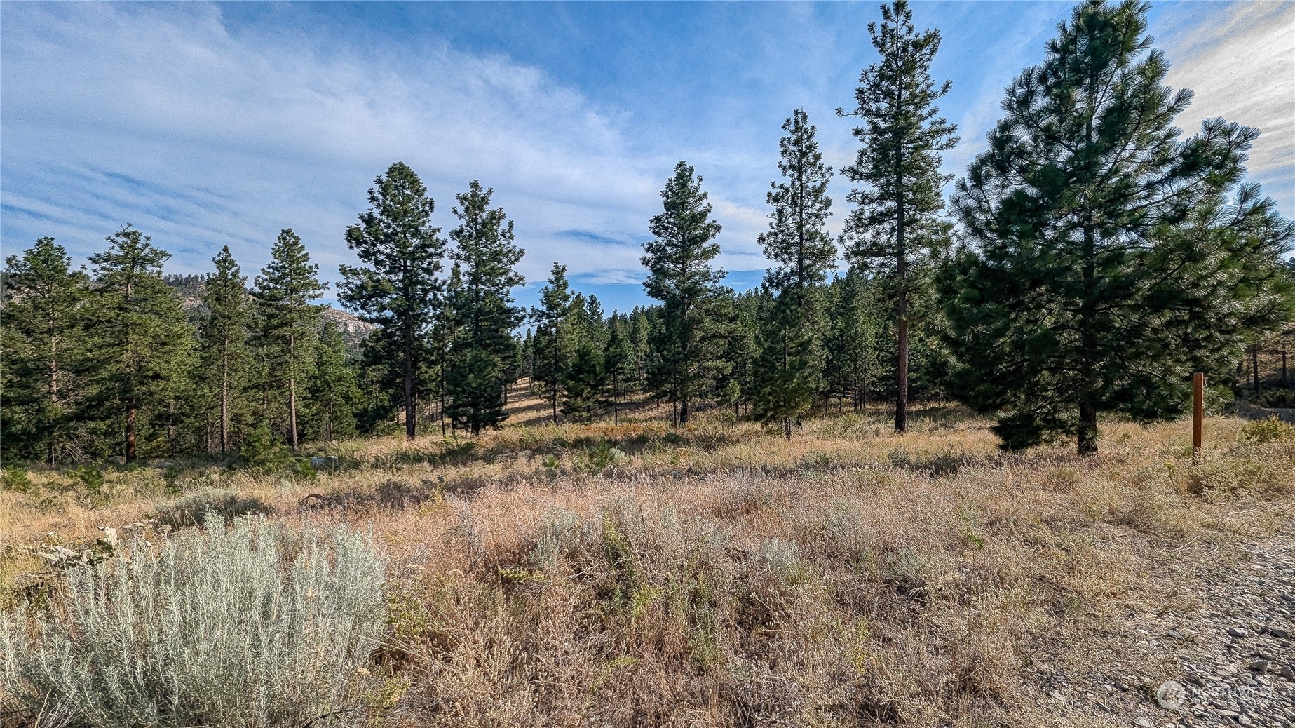 607 J H Green Road Riverside, WA 98849 - Photo 3 of 37 Gallery Image 3