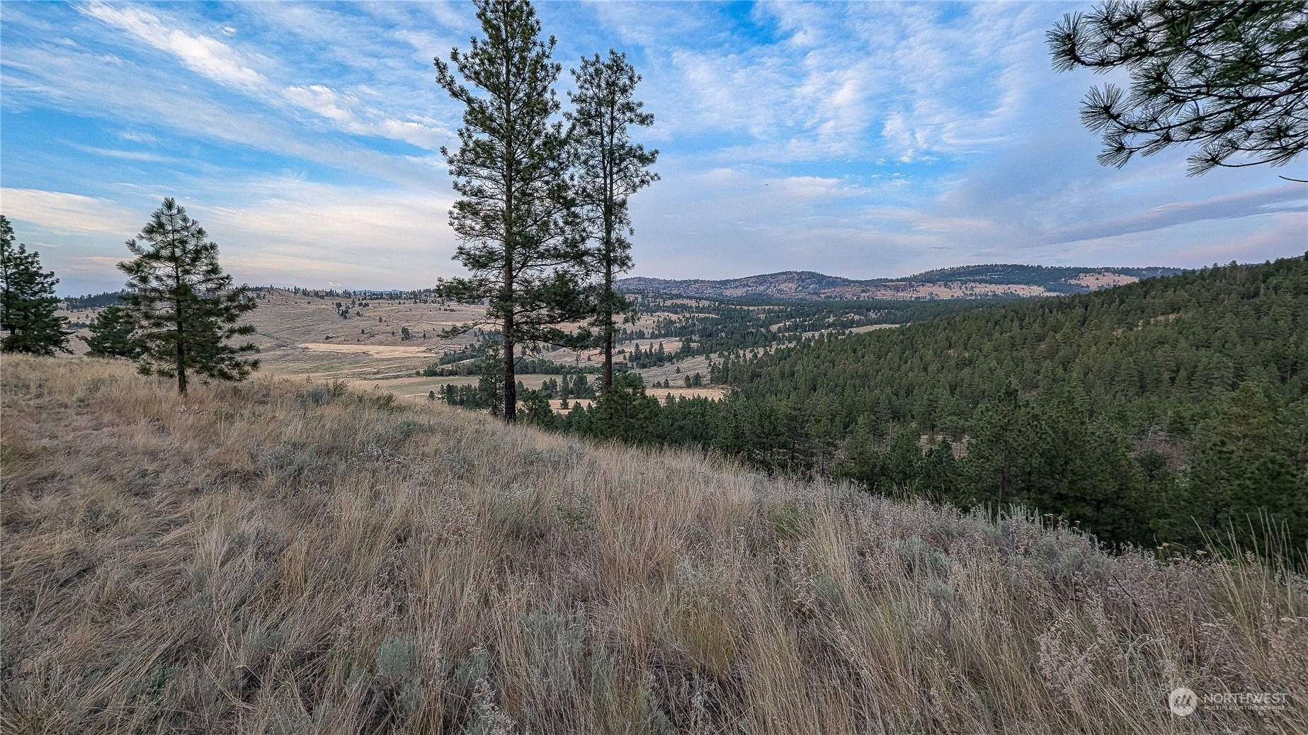 607 J H Green Road Riverside, WA 98849 - Photo 33 of 37 Gallery Image 33