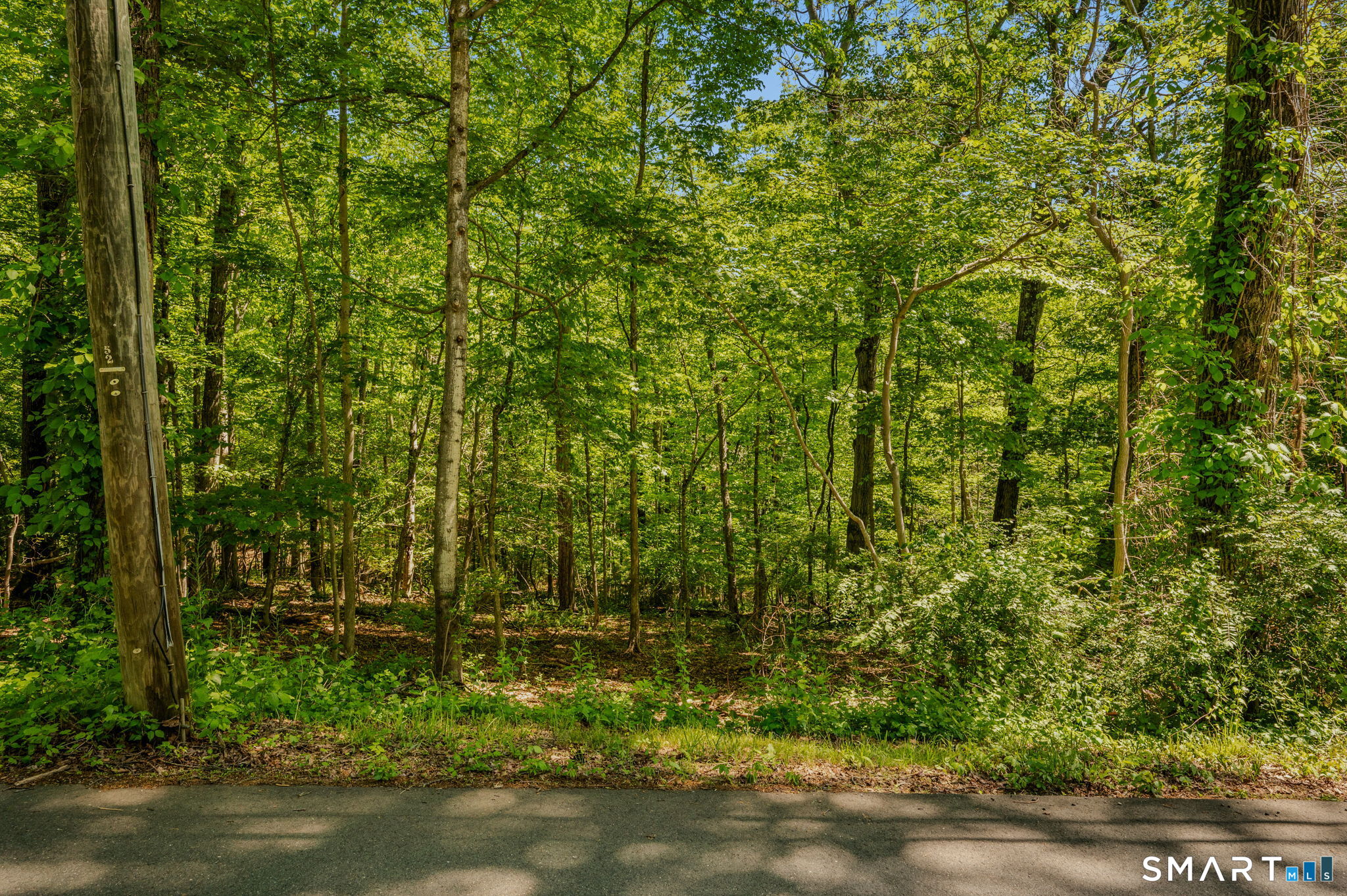 Lot10-b1 Foot Hills Road Higganum, CT 06441 - Photo 9 of 33 a view of outdoor space and a yard