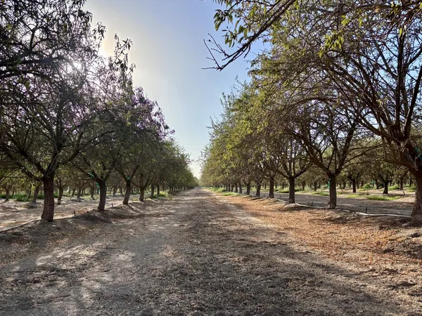 $800,000 | 21671 Ave 18, Madera, CA 93637