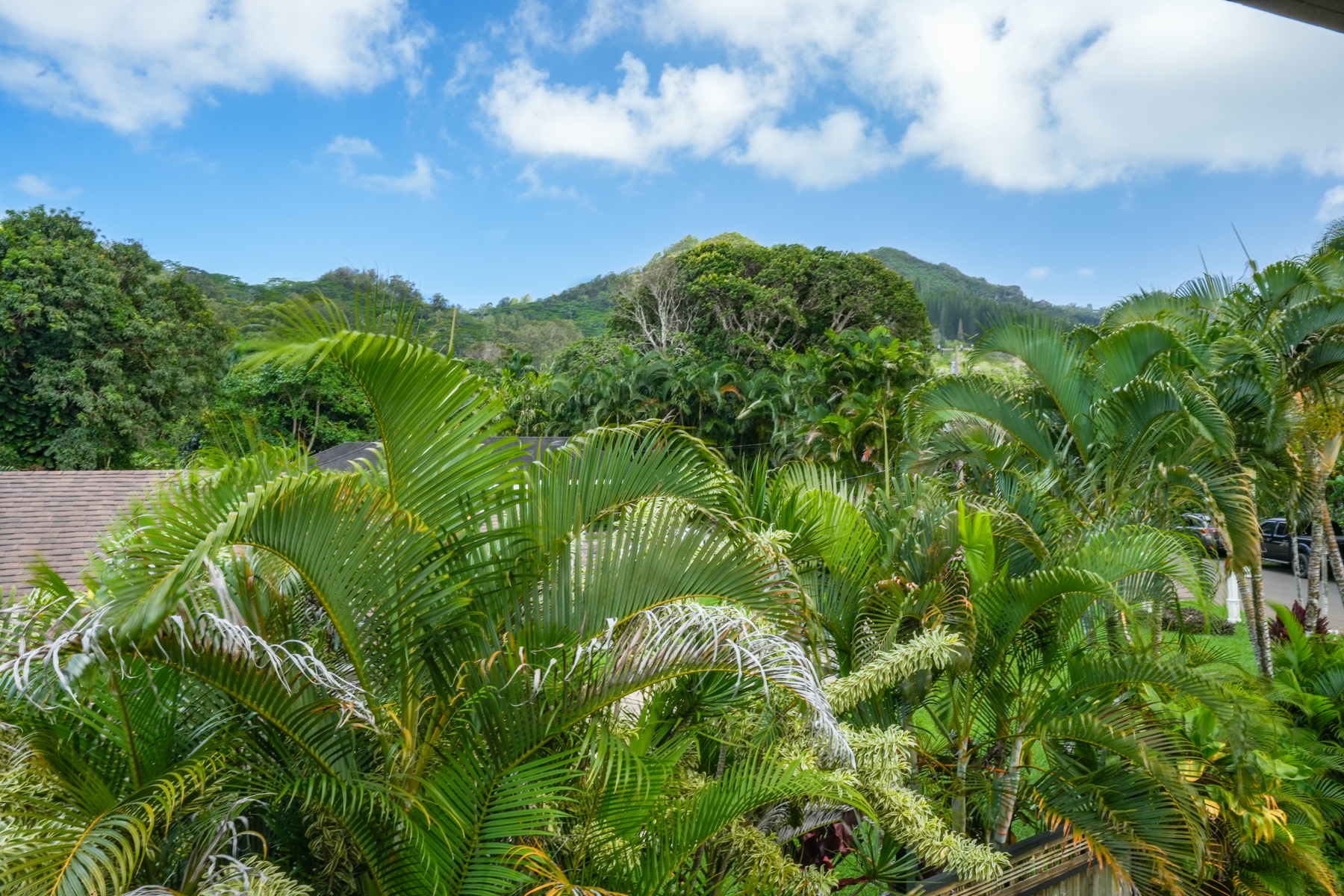 5988 Lokelani Road Kapaa, HI 96746 - Photo 15 of 29