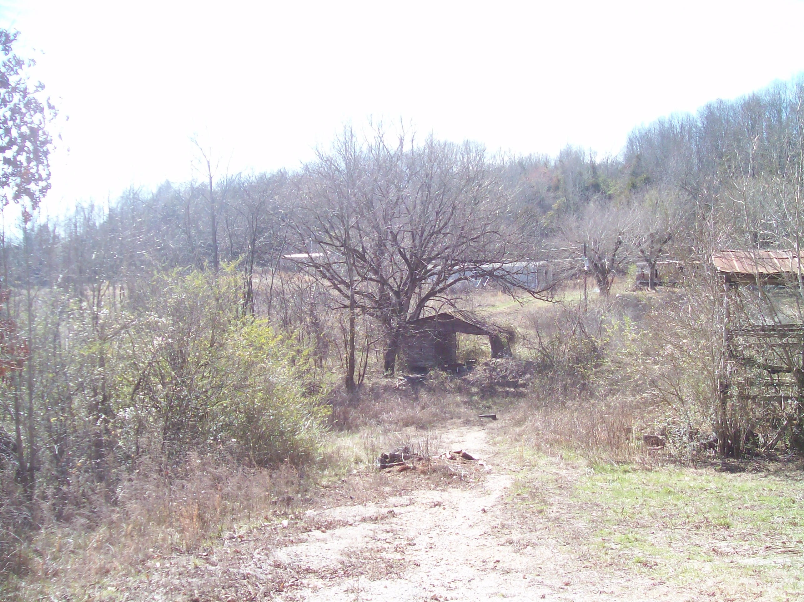 189 Main Hollow Road Philadelphia, TN 37846 - Photo 2 of 11 192