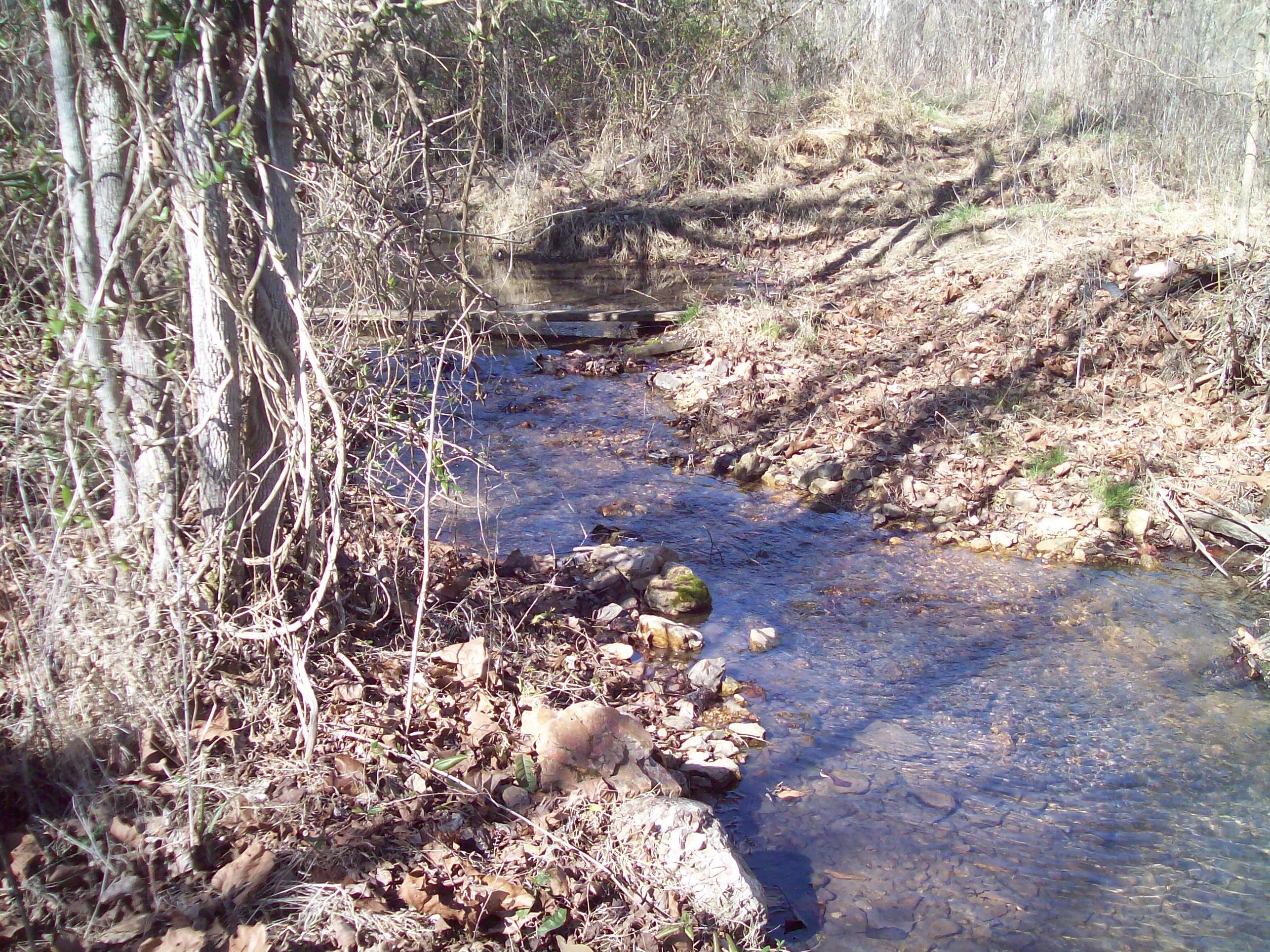 189 Main Hollow Road Philadelphia, TN 37846 - Photo 4 of 11 194