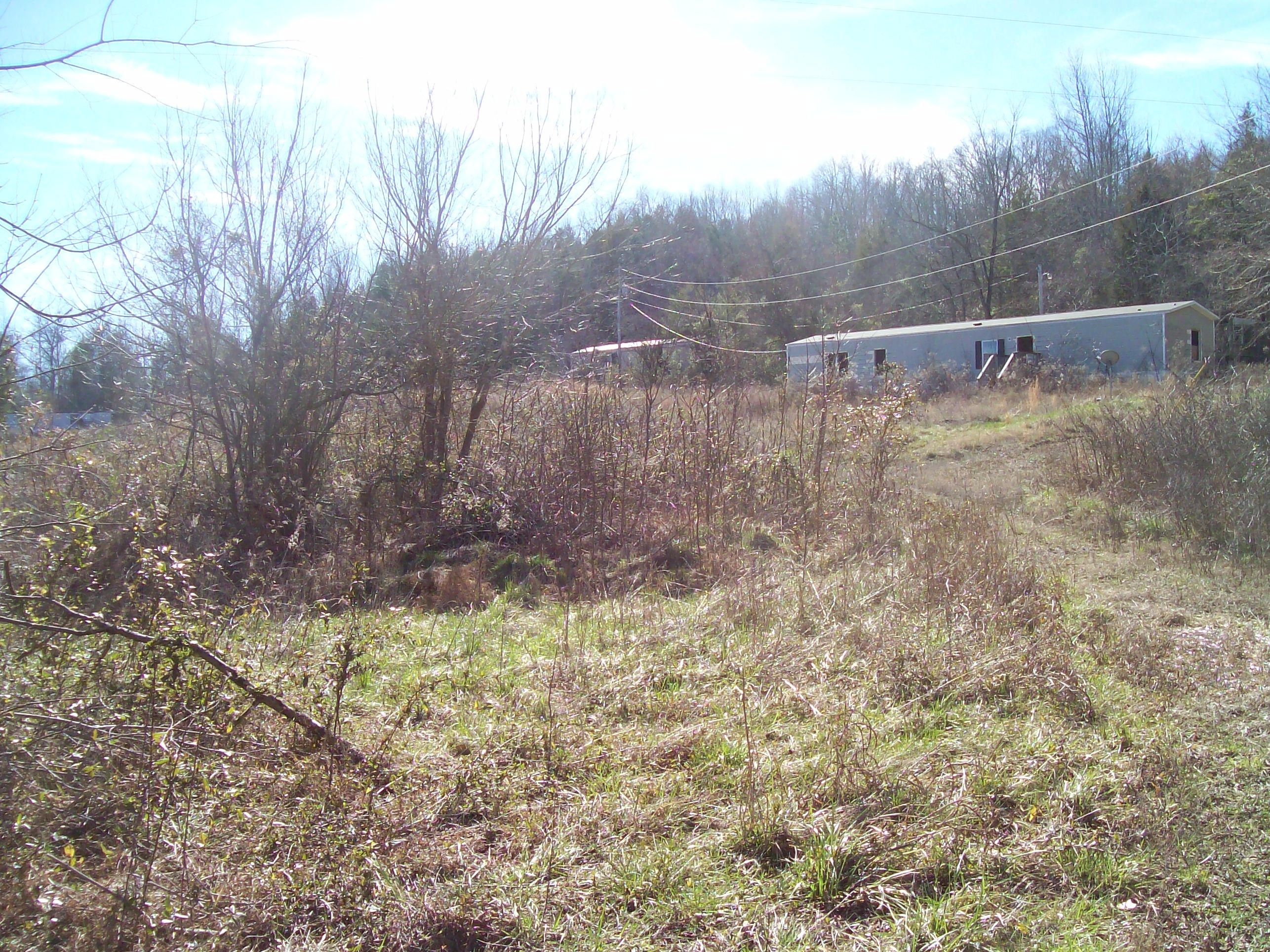 189 Main Hollow Road Philadelphia, TN 37846 - Photo 6 of 11 196
