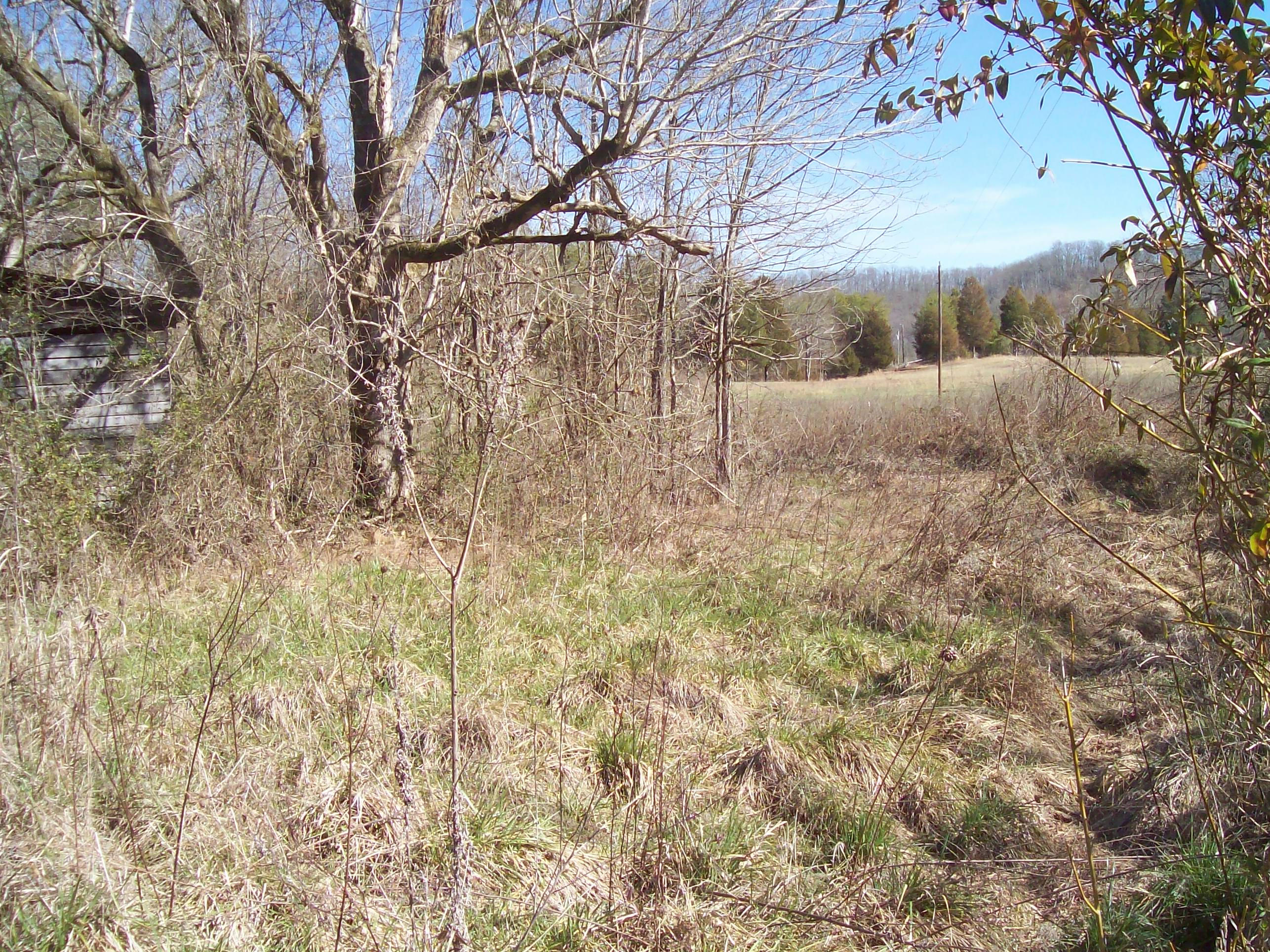 189 Main Hollow Road Philadelphia, TN 37846 - Photo 7 of 11 197