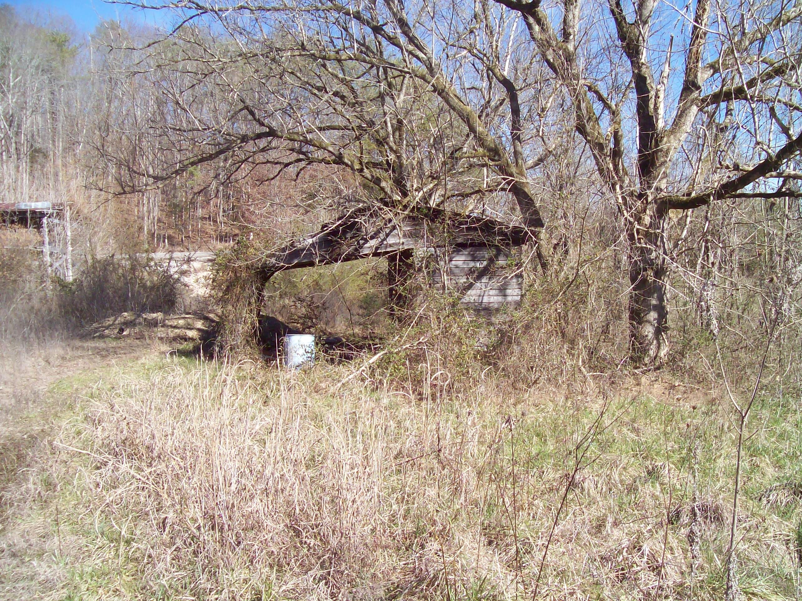 189 Main Hollow Road Philadelphia, TN 37846 - Photo 8 of 11 198