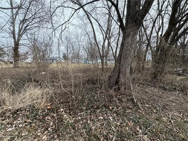 $23,900 | South 6th & 7th Street, Lacygne, KS 66040