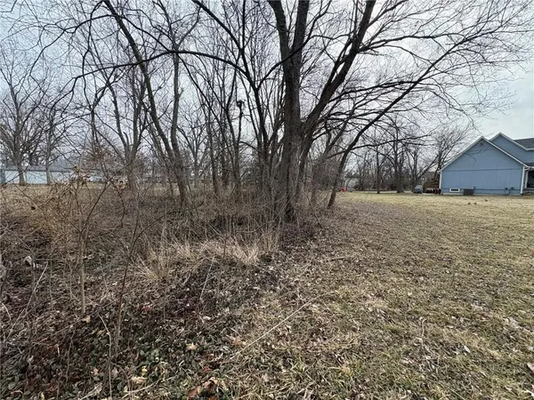 $23,900 | South 6th & 7th Street, Lacygne, KS 66040