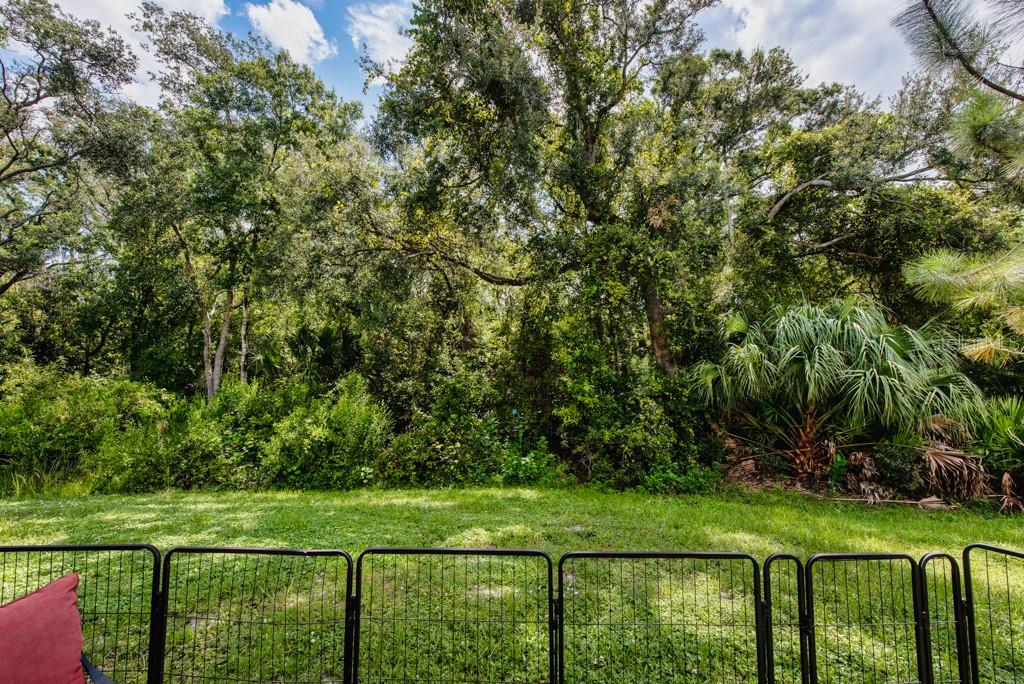 2844 Jacob Crossing Lane Holiday, FL 34691 - Photo 24 of 39