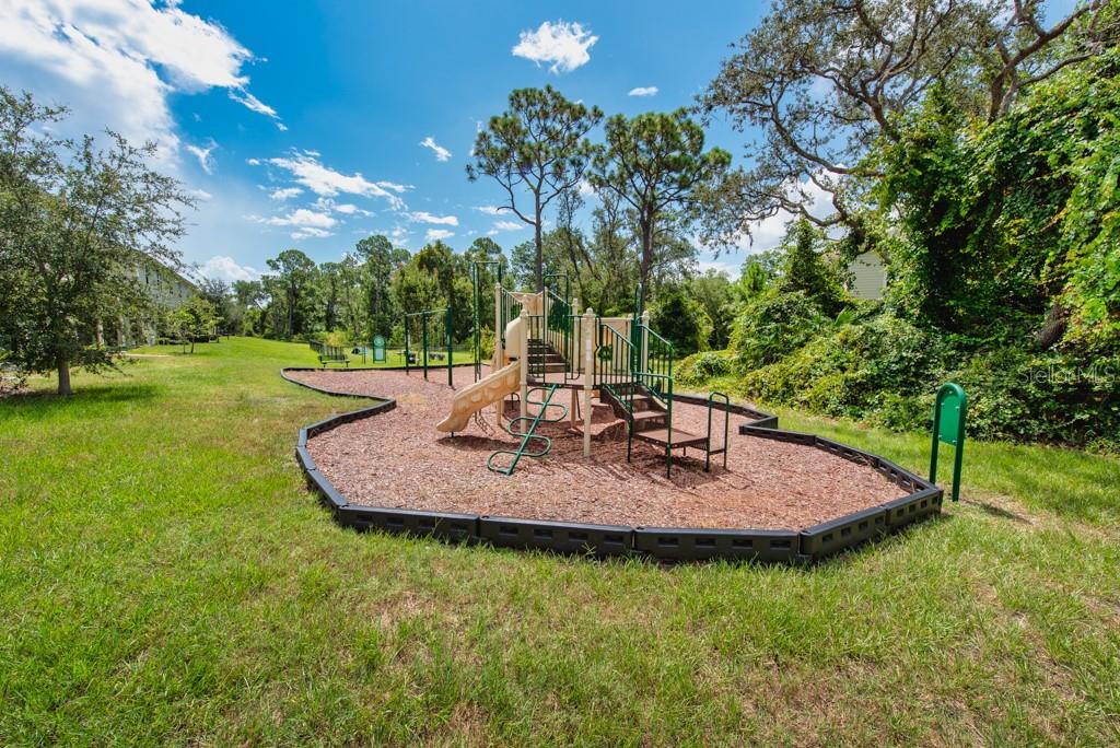 2844 Jacob Crossing Lane Holiday, FL 34691 - Photo 31 of 39