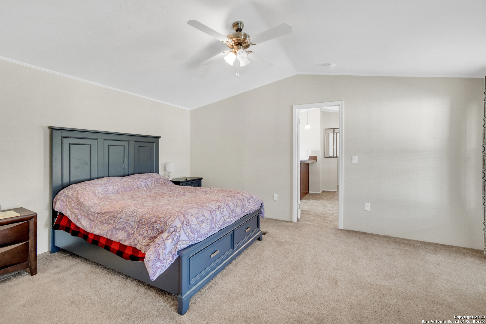 13808 Greenwood Road Atascosa, TX 78002 - Photo 24 of 29