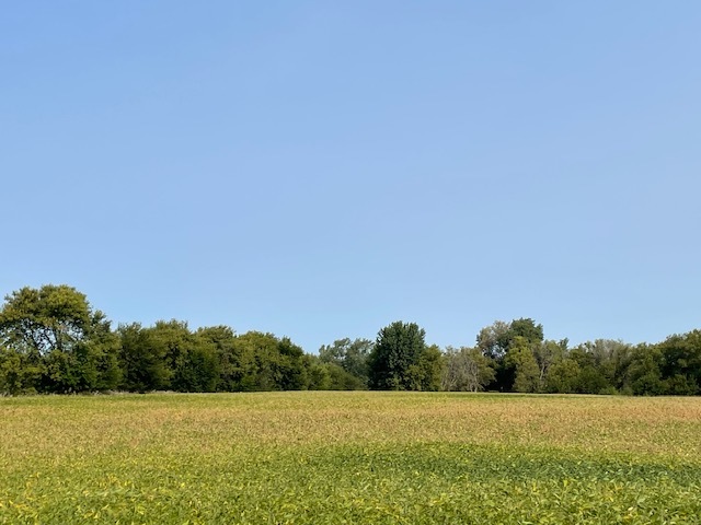 0 Beck Road Marengo, IL 60152 - Photo 5 of 6