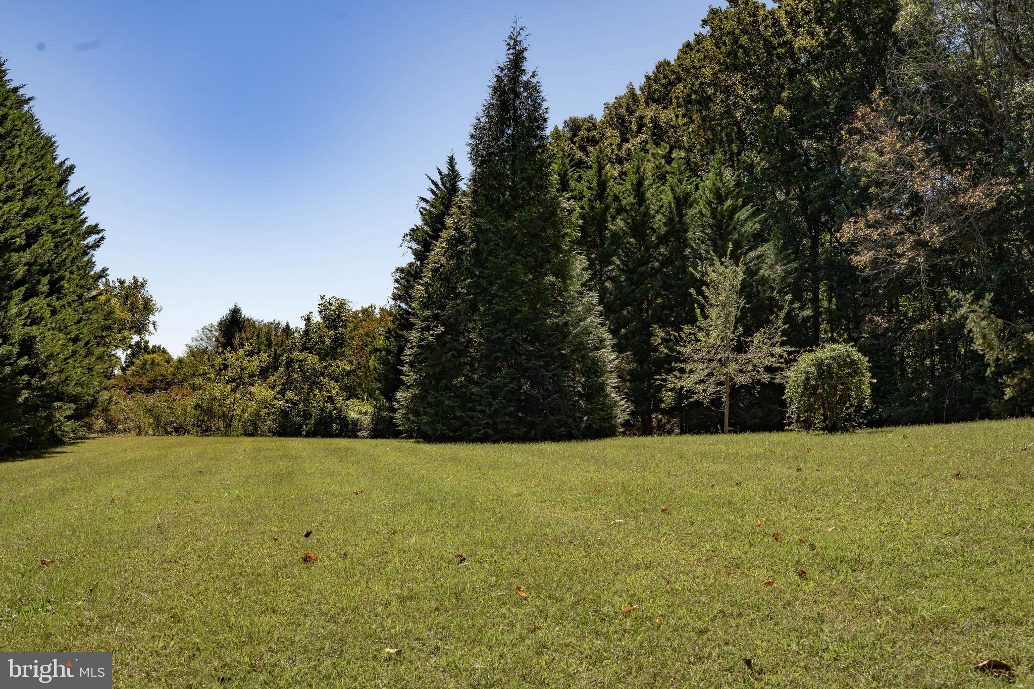 11558 Scotts Mill Road Culpeper, VA 22701 - Photo 4 of 23 Gallery Image 4
