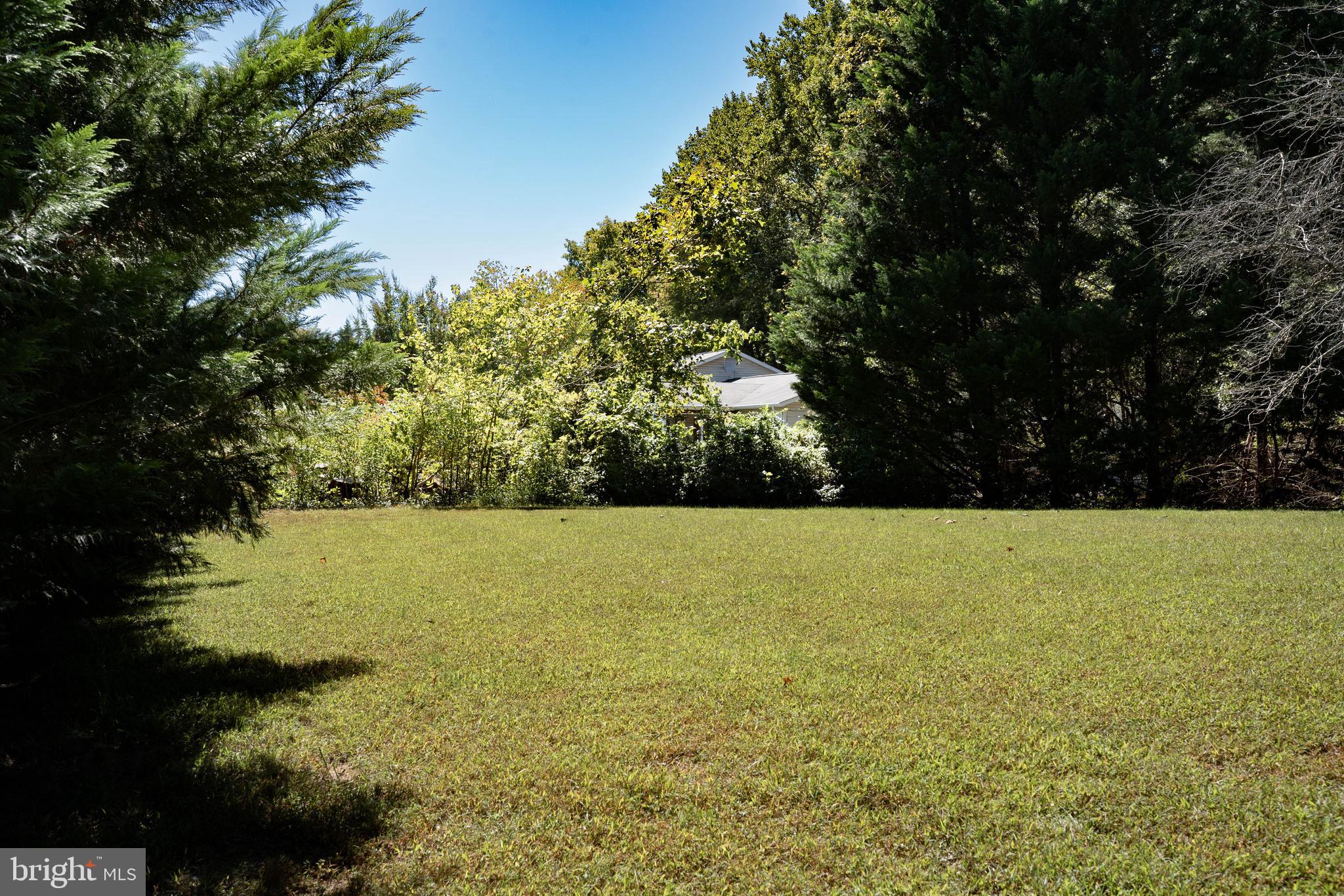 11558 Scotts Mill Road Culpeper, VA 22701 - Photo 5 of 23 Gallery Image 5