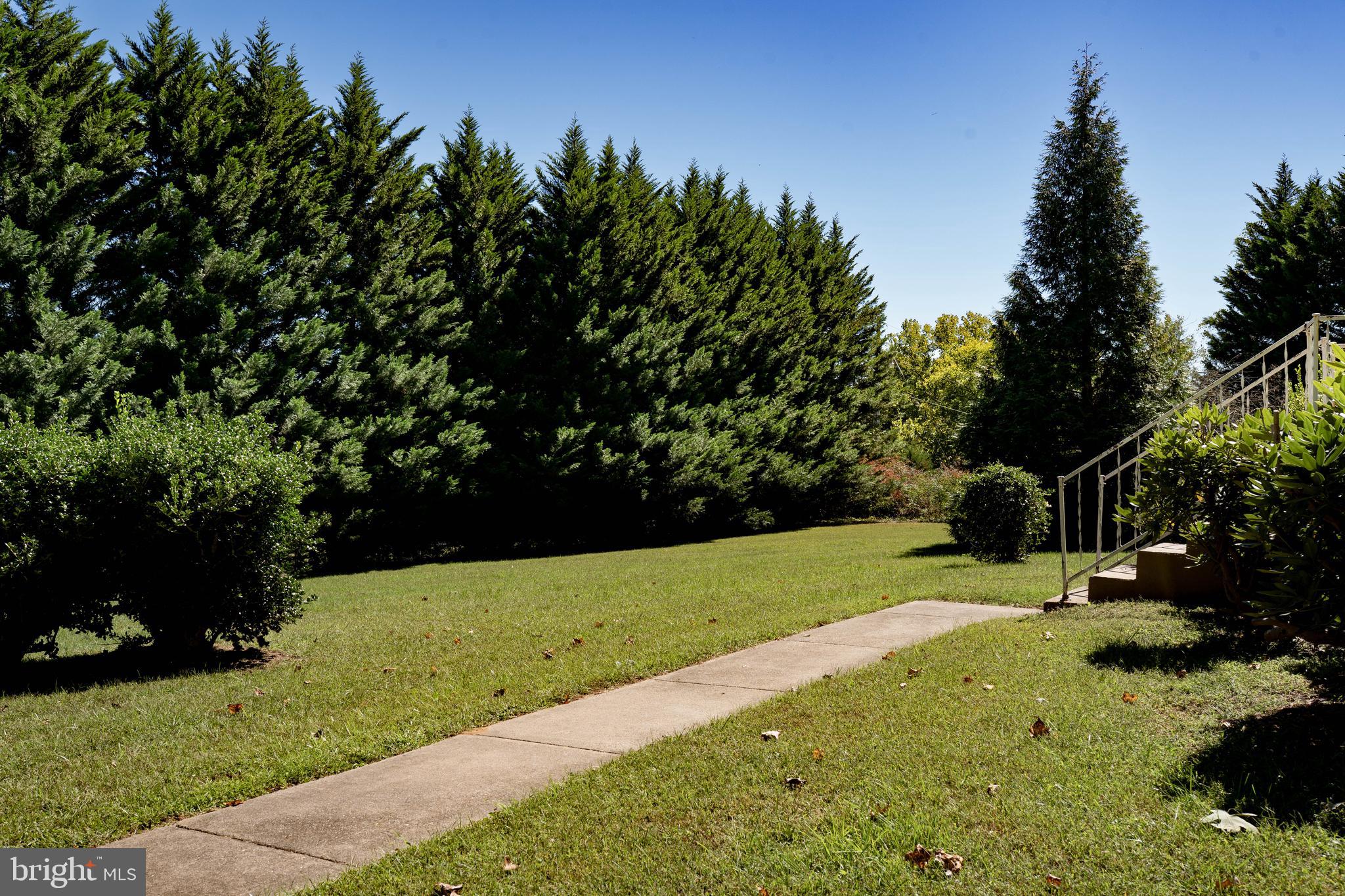 11558 Scotts Mill Road Culpeper, VA 22701 - Photo 6 of 23 Gallery Image 6