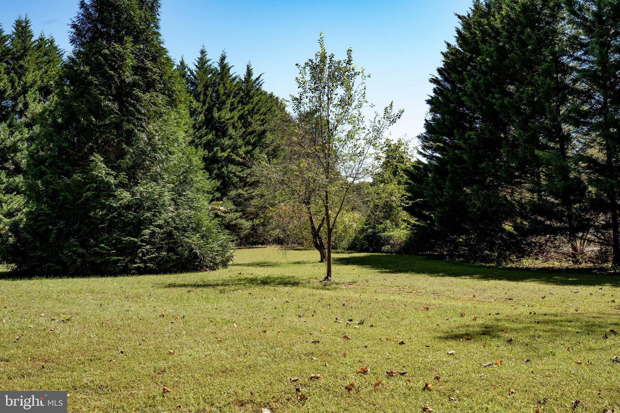 11558 Scotts Mill Road Culpeper, VA 22701 - Photo 7 of 23 Gallery Image 7