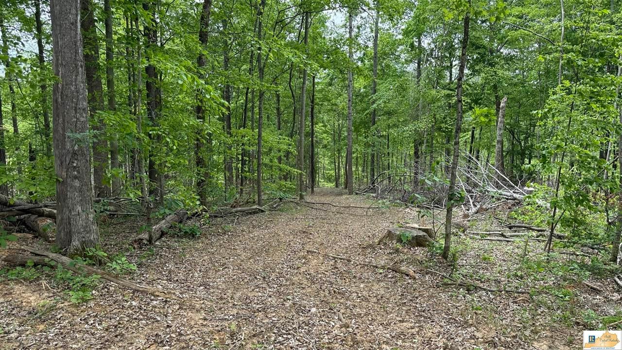0 Black Beard Road Edmonton, KY 42129 - Photo 30 of 44 Gallery Image 30