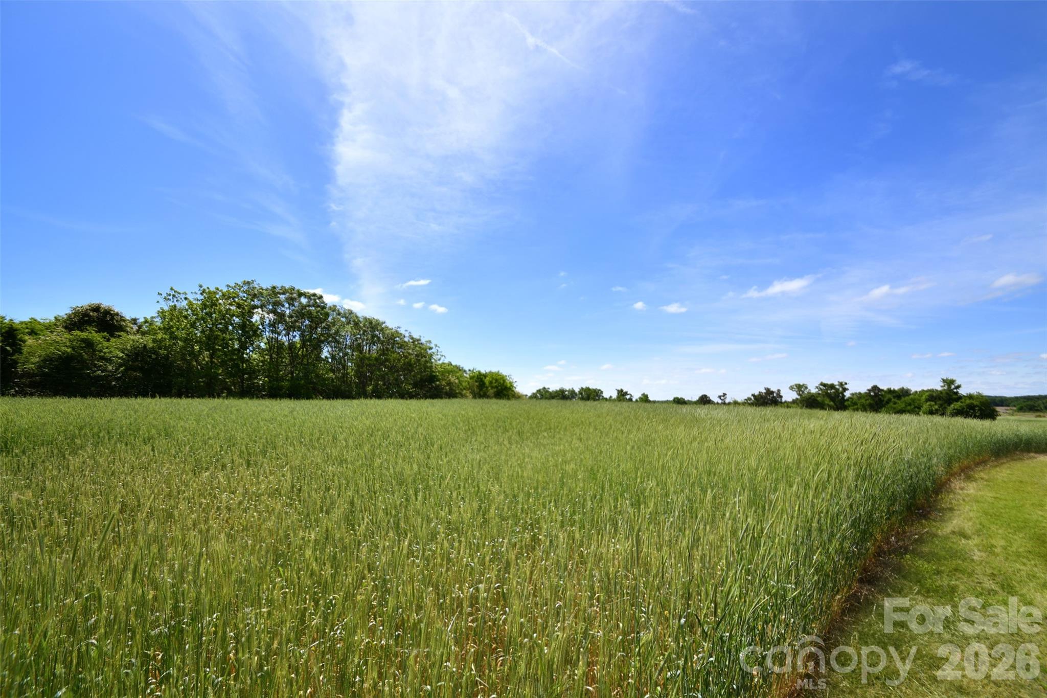 36276 Vick Road New London, NC 28127 - Photo 40 of 40 Gallery Image 40