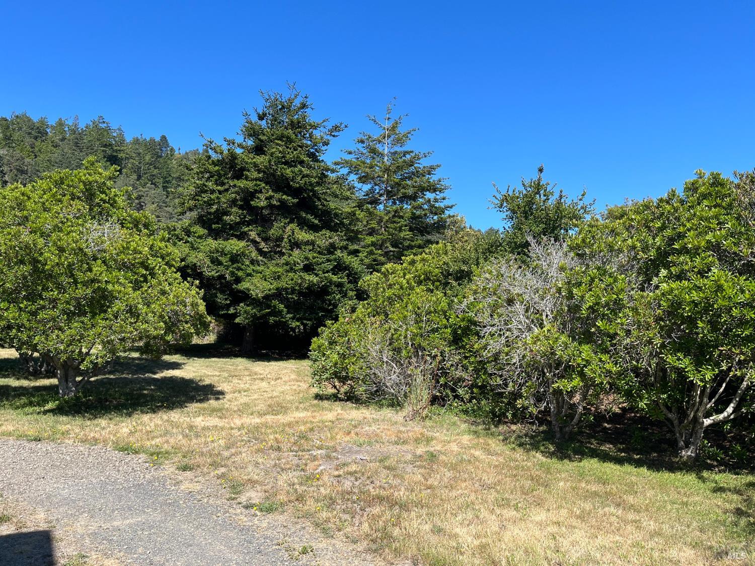 39722 Leeward Road, Unit 28 The Sea Ranch, CA 95497 - Photo 36 of 36
