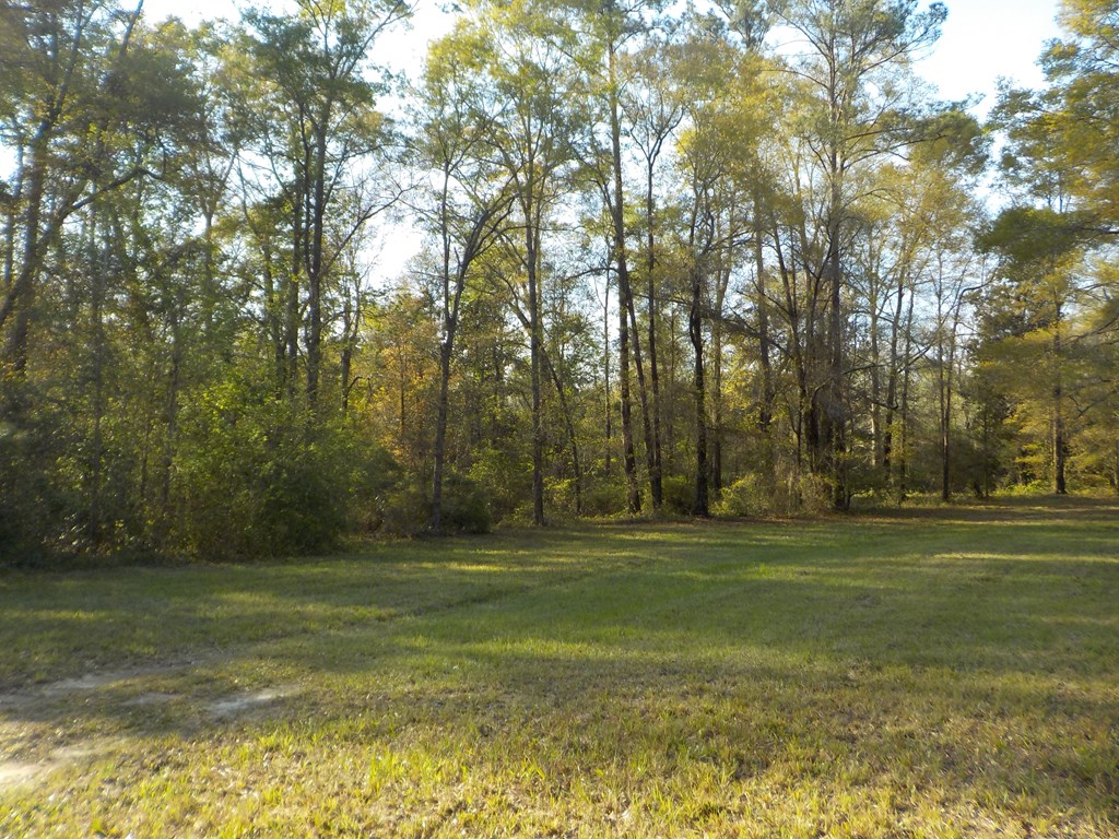 36.62-ac Hooper Cherry Road Dothan, AL 36301 - Photo 17 of 32 Gallery Image 17