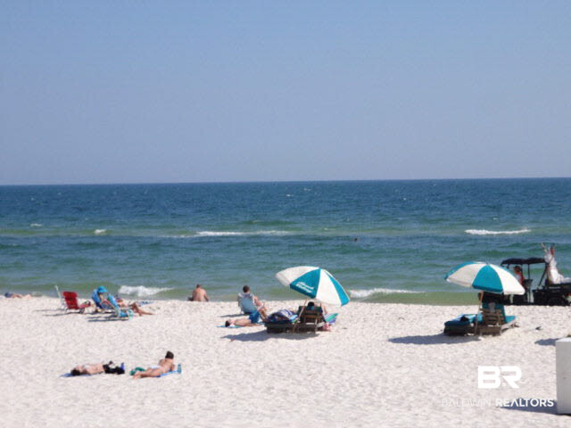 28395 Canal Road Orange Beach, AL 36561 - Photo 31 of 45 Copyright A. Norris 2015
