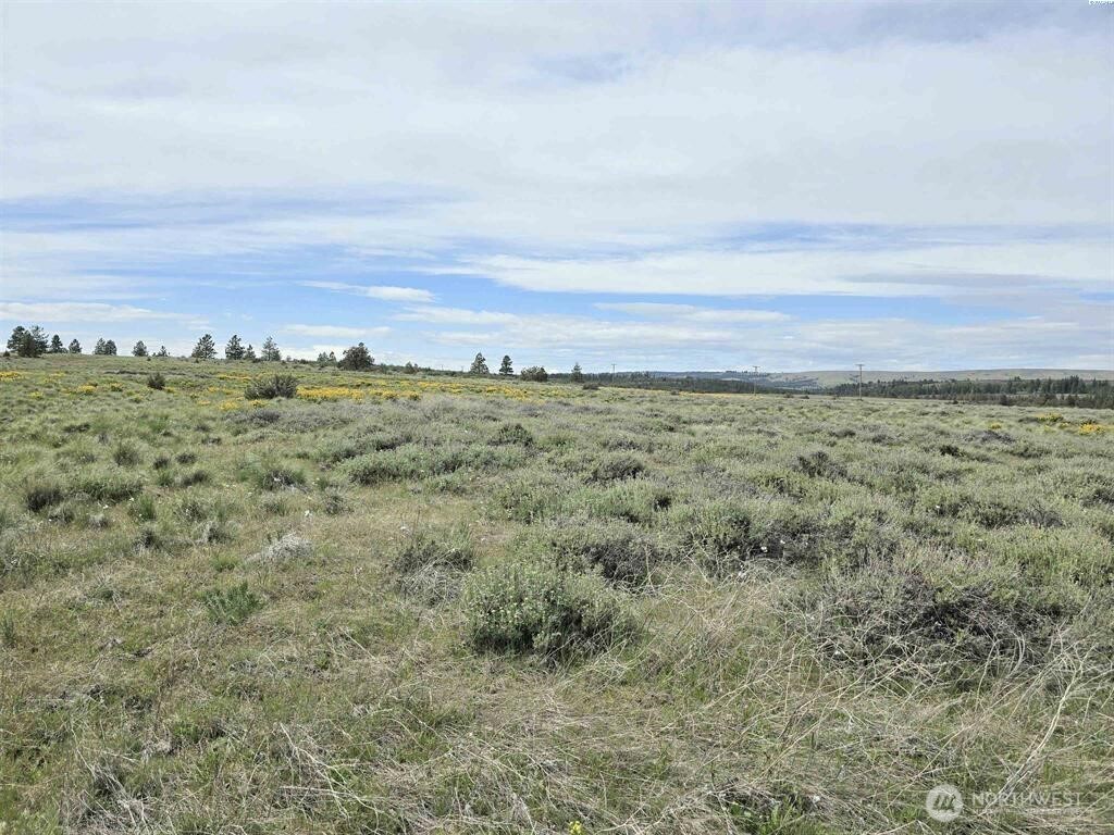 141 Middle Road Bickleton, WA 99322 - Photo 11 of 18