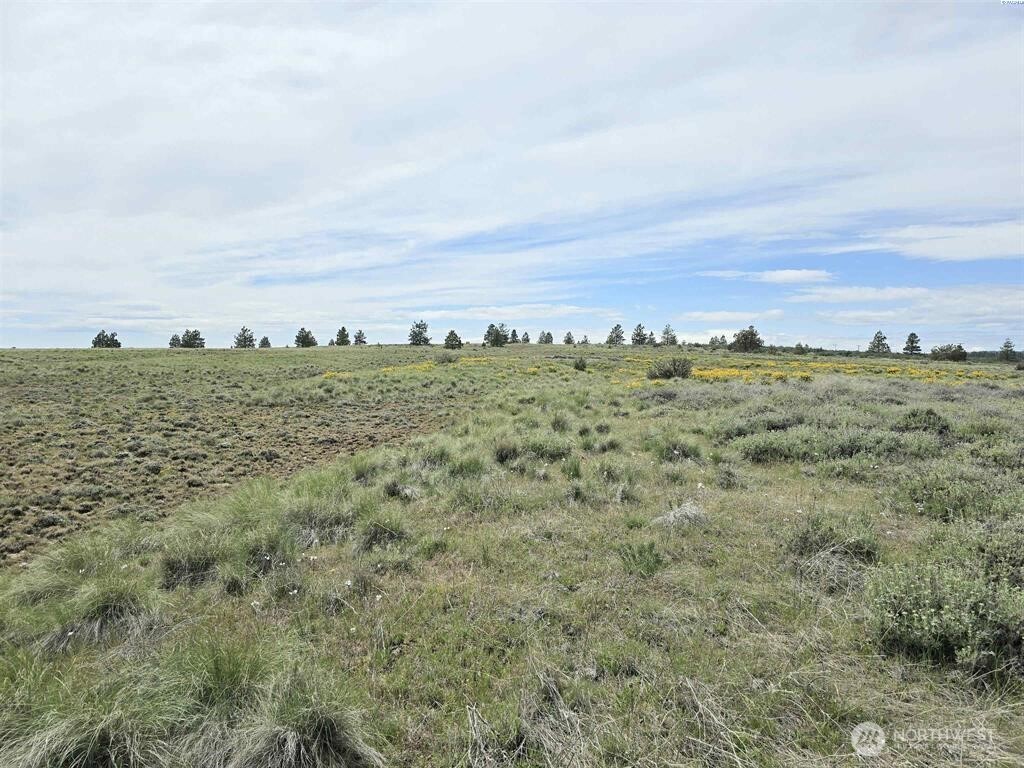 141 Middle Road Bickleton, WA 99322 - Photo 12 of 18