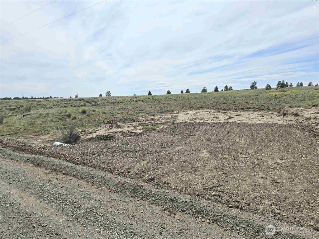 141 Middle Road Bickleton, WA 99322 - Photo 2 of 18