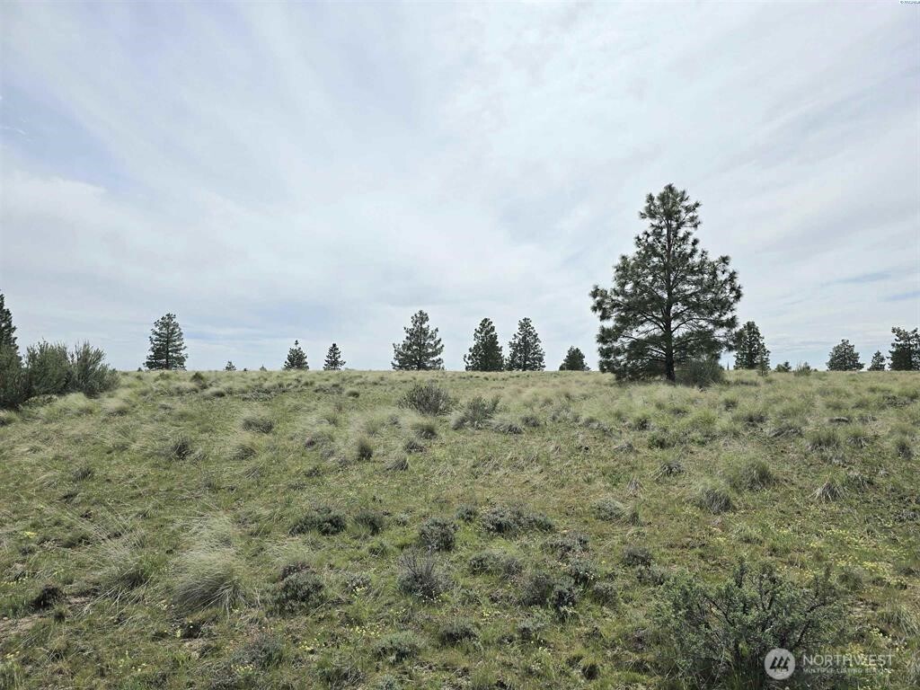 141 Middle Road Bickleton, WA 99322 - Photo 6 of 18