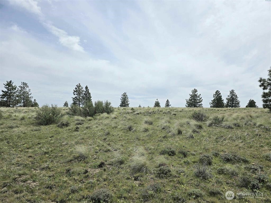 141 Middle Road Bickleton, WA 99322 - Photo 7 of 18