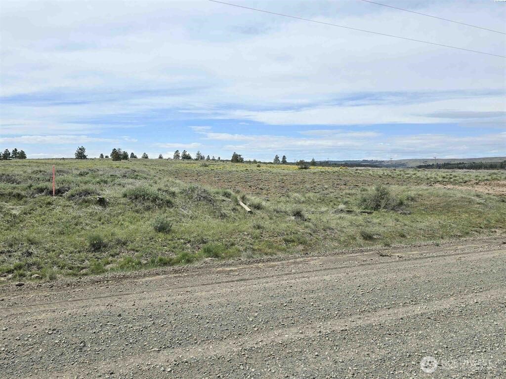 141 Middle Road Bickleton, WA 99322 - Photo 9 of 18