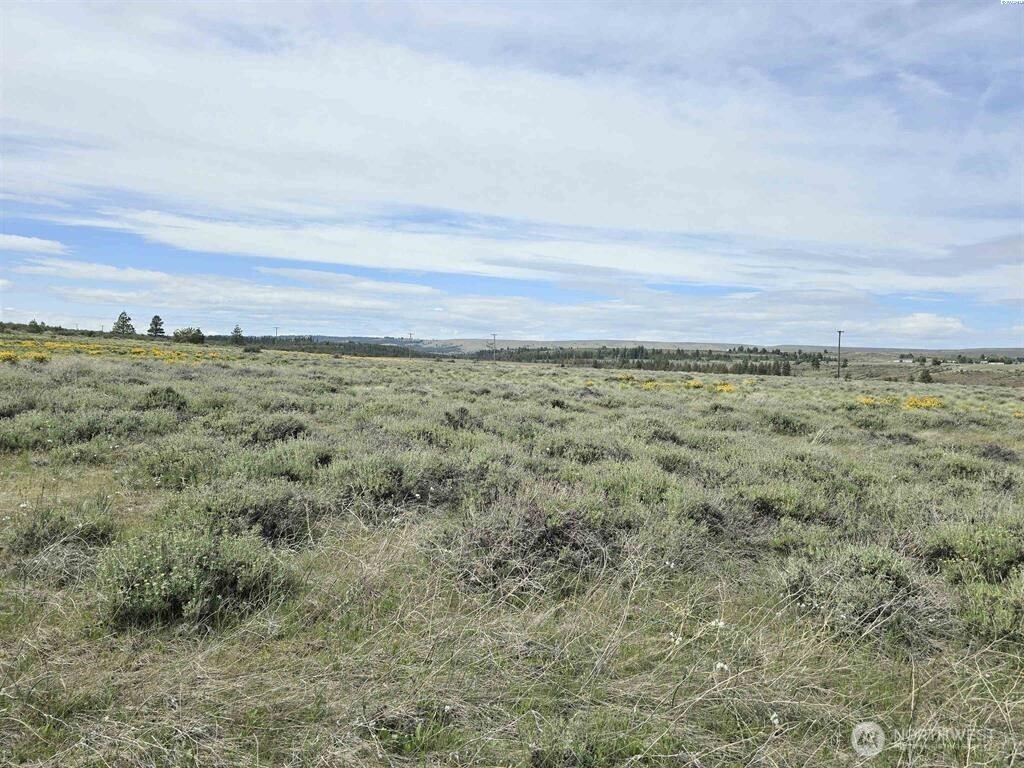 141 Middle Road Bickleton, WA 99322 - Photo 10 of 18