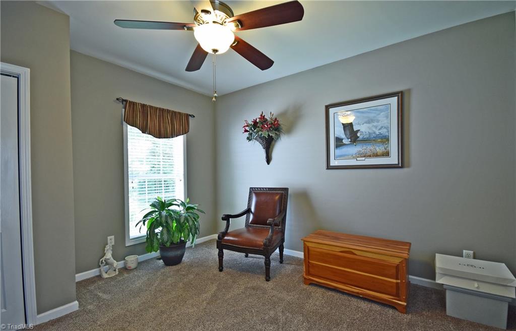 6850 Pilot View Street Rural Hall, NC 27045 - Photo 19 of 29
