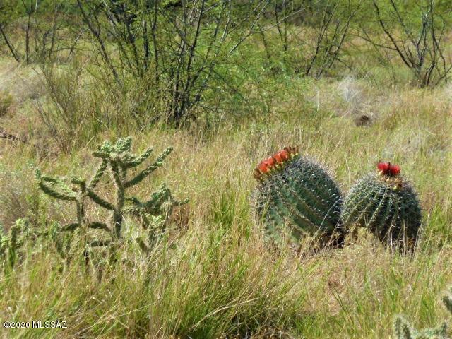 Lot 19 North San Pedro Ranch Road, Unit 19 Benson, AZ 85602 - Photo 6 of 26 Gallery Image 6