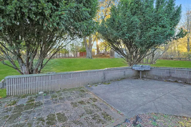 a view of a yard and tree s