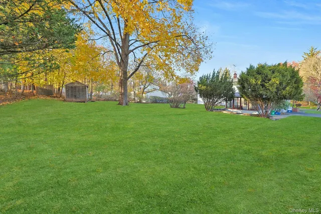 a view of a field of grass and trees