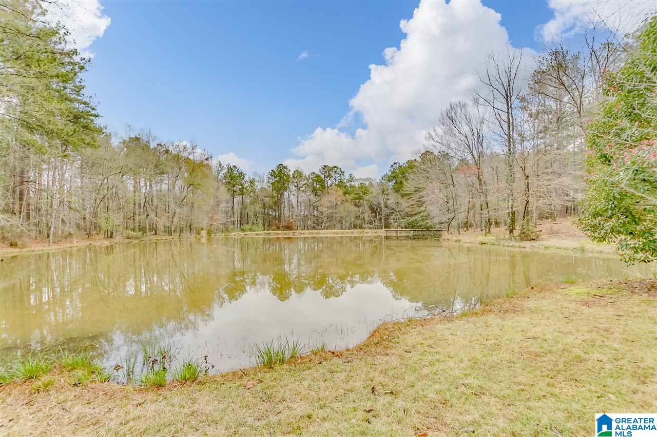 6150 Chelsea Road Columbiana, AL 35051 - Photo 48 of 50