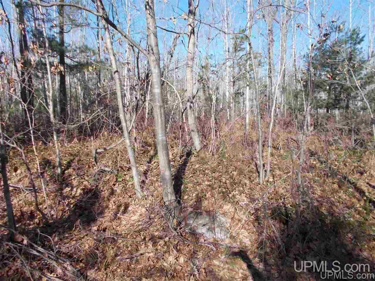 74-acres 74-acres Off Co Road Negaunee, MI 49866 - Photo 13 of 17