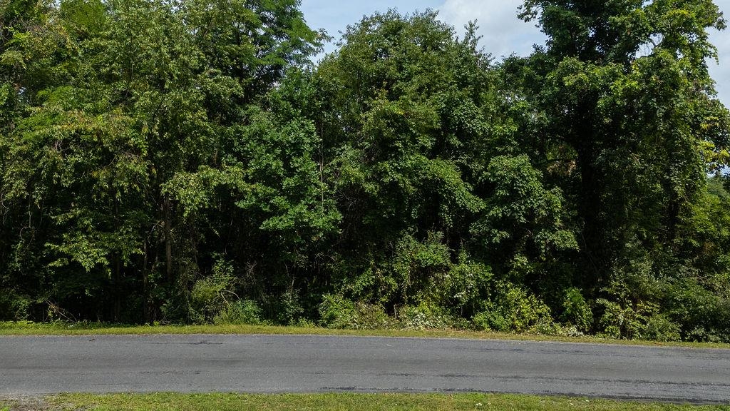 Tbd Stover Shop Road Churchville, VA 24421 - Photo 2 of 13 Gallery Image 2