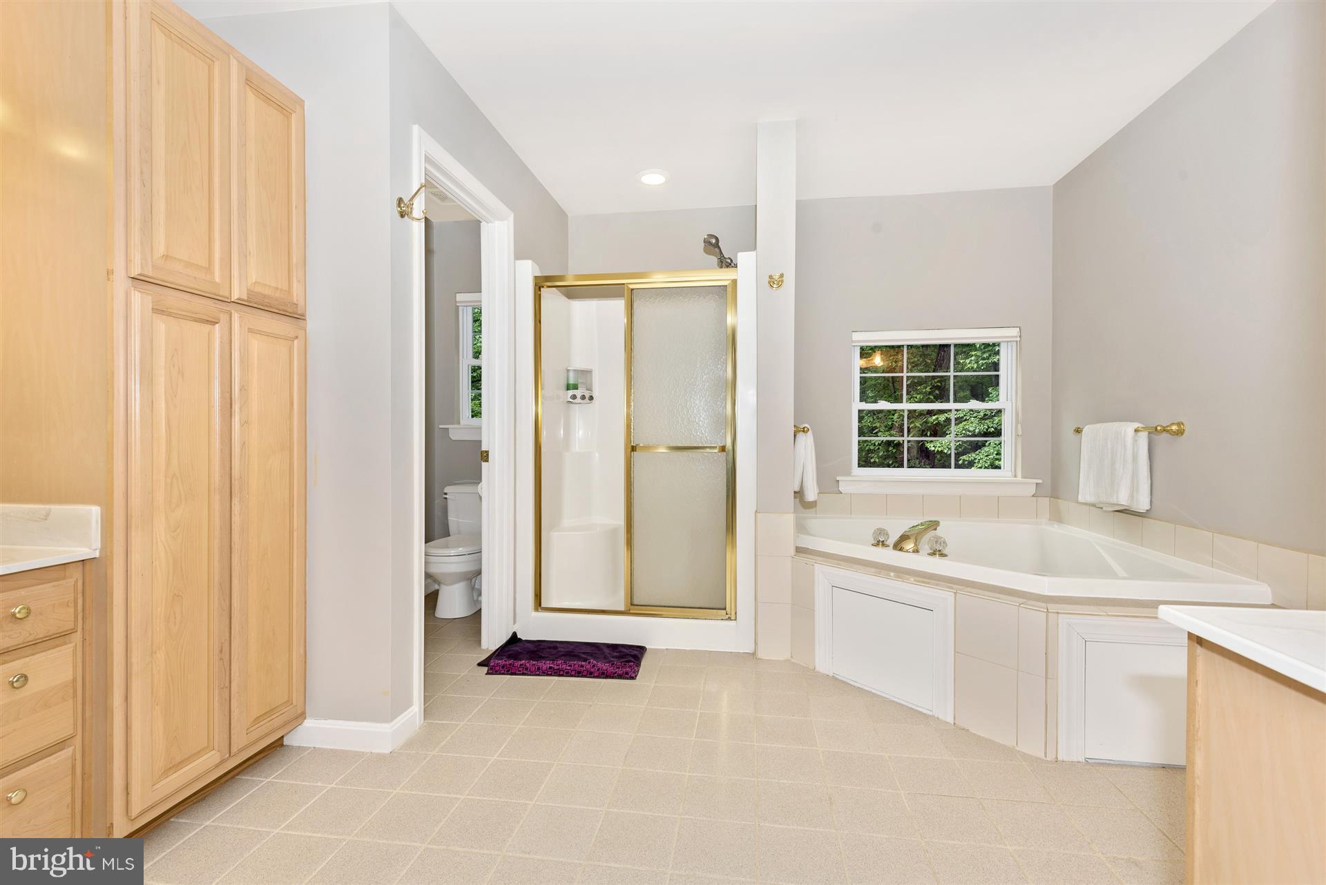 14435 Unionville Road Mount Airy, MD 21771 - Photo 24 of 28 a bathroom with a tub sink and a shower