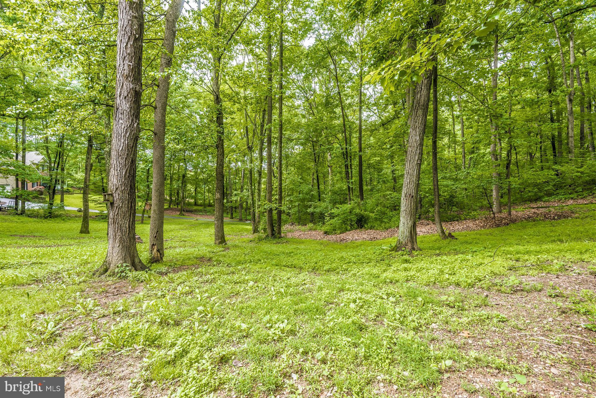 14435 Unionville Road Mount Airy, MD 21771 - Photo 5 of 28 a view of a yard with a tree