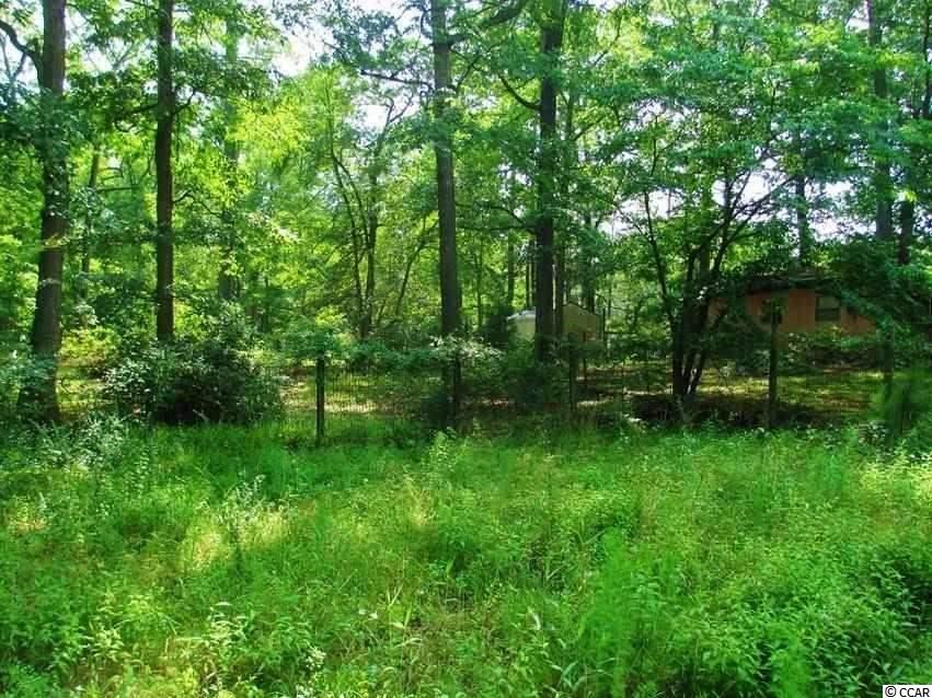 3031 Inheritance Road Conway, SC 29527 - Photo 1 of 1