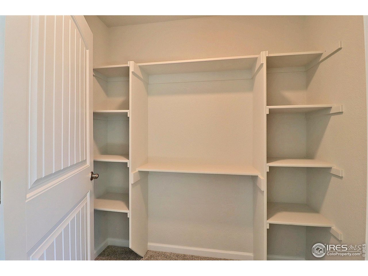 4301 Rockcress Road Evans, CO 80620 - Photo 19 of 26 a view of closet