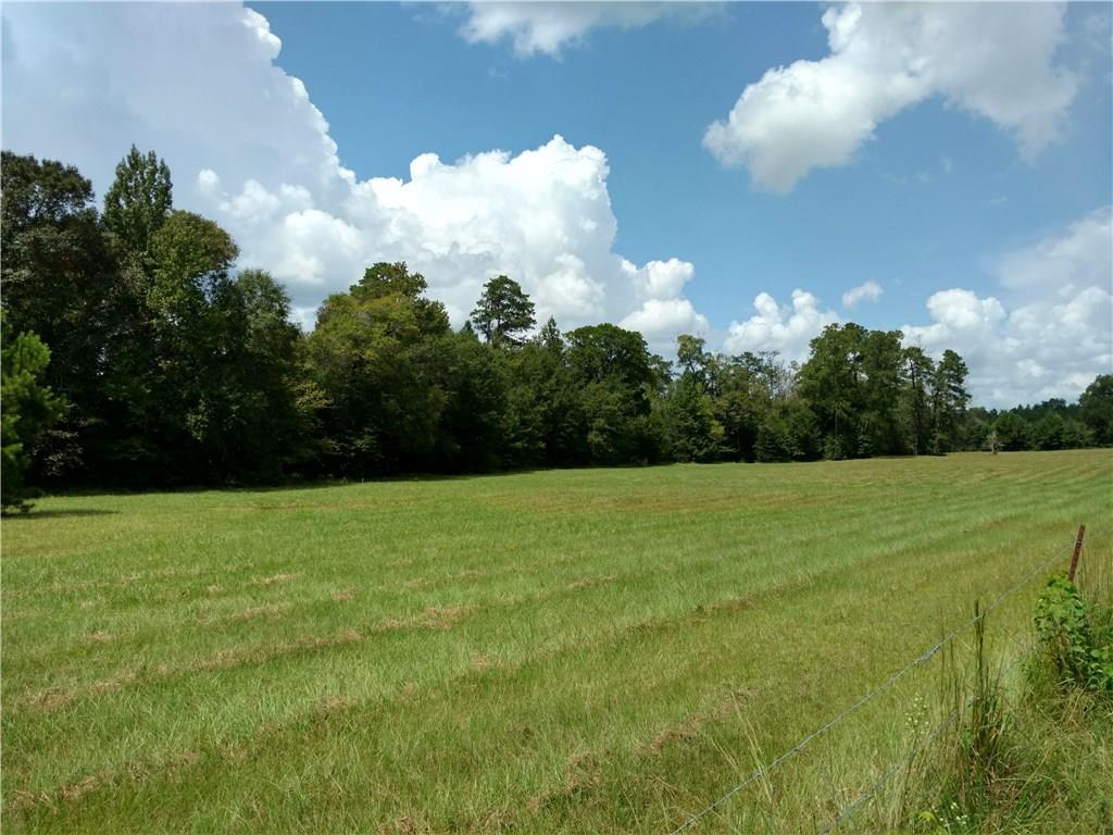 Tbd Grantham Road Deridder, LA 70634 - Photo 1 of 4