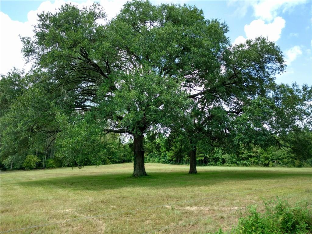 Tbd Grantham Road Deridder, LA 70634 - Photo 2 of 4