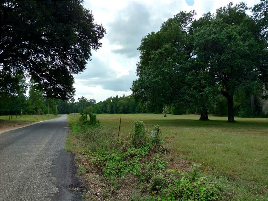 Tbd Grantham Road Deridder, LA 70634 - Photo 3 of 4