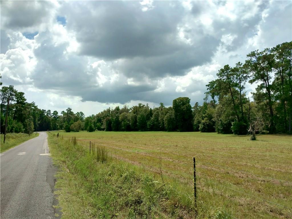 Tbd Grantham Road Deridder, LA 70634 - Photo 4 of 4