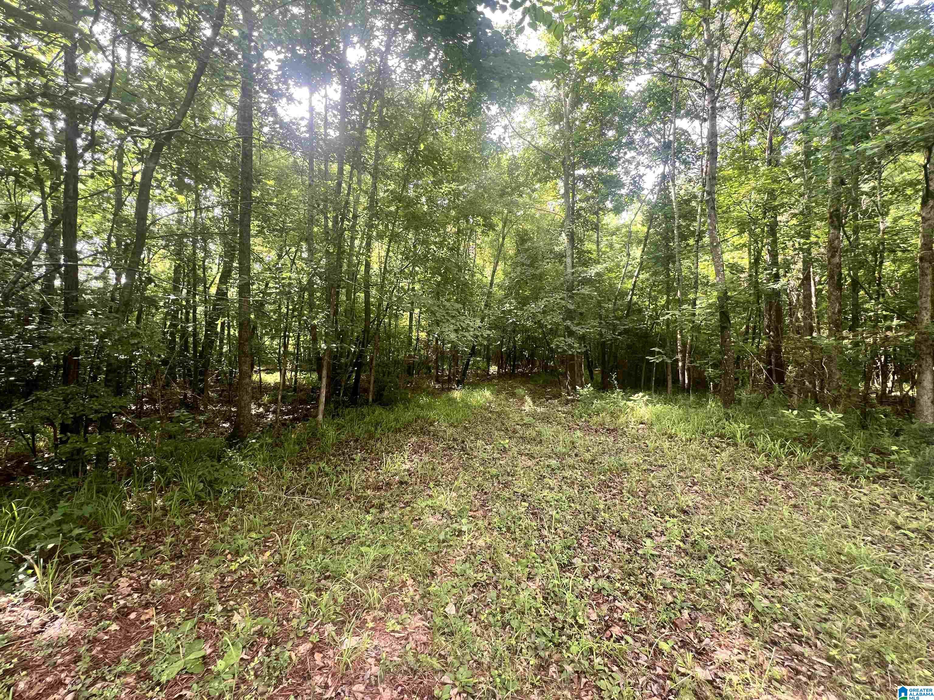 930 Anniston Beach Road Anniston, AL 36206 - Photo 20 of 23